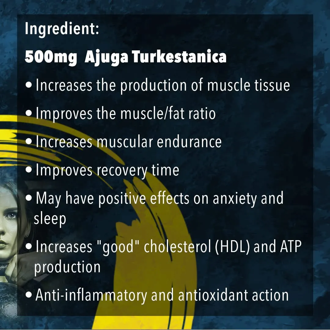 Warrior Turkesterone (60 capsules)